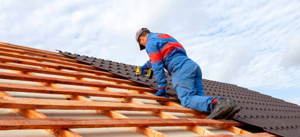 Best Hot Roofs  in Lambertville, MI
