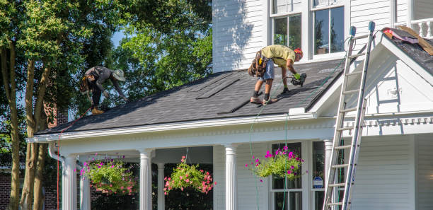 Best Roof Insulation Installation  in Lambertville, MI